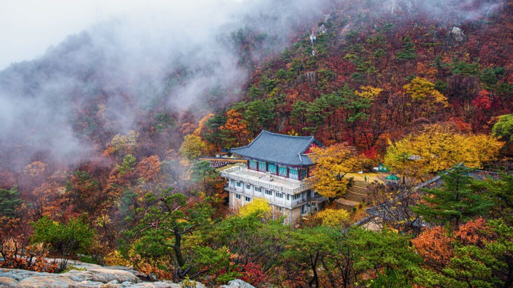 fall foliage korea 2025