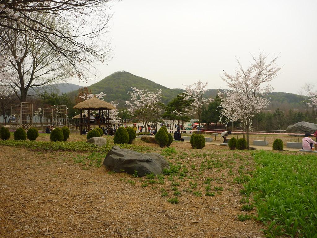 Solo Women Travelers Guide to Incheon's gardens