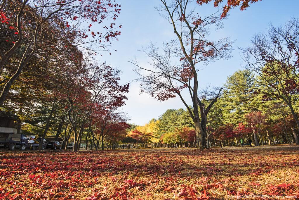 nami island