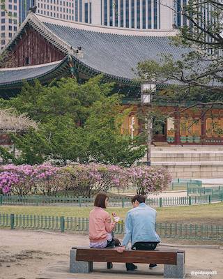 seoul palace visit