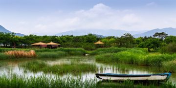 things to do in luncheon