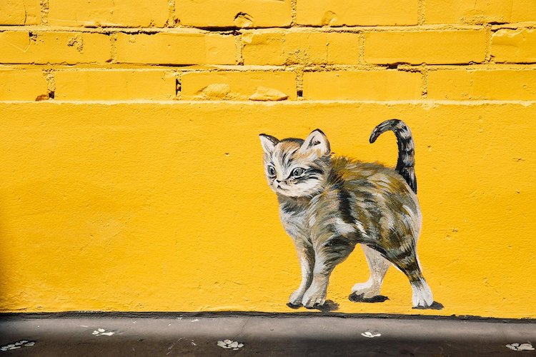cat mural