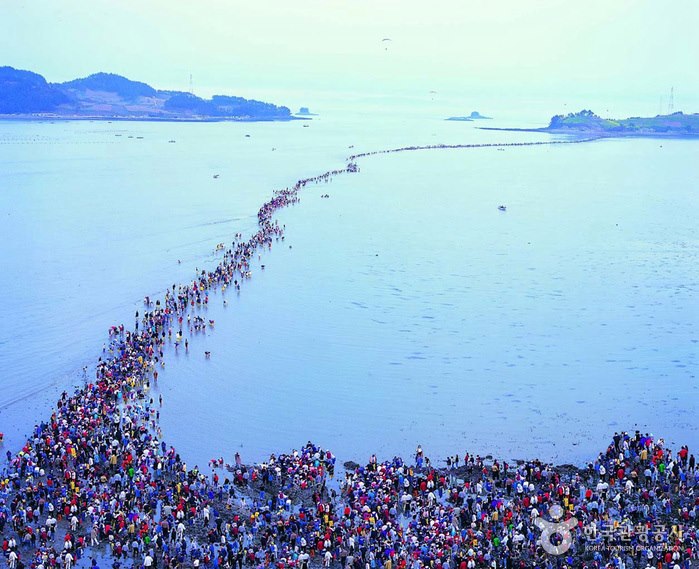 Jindo Miracle Sea Road Festival