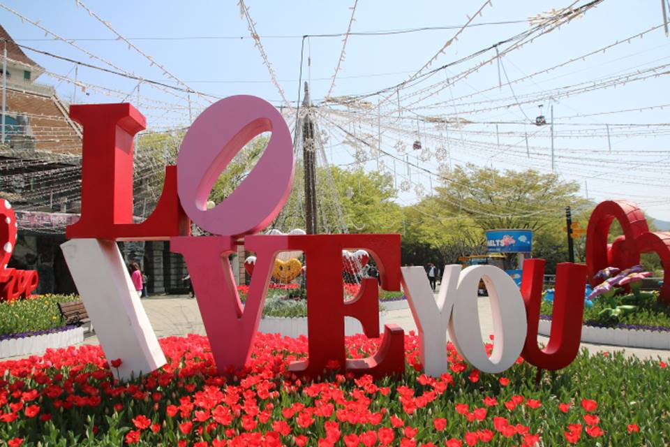 Taean Tulip Festival