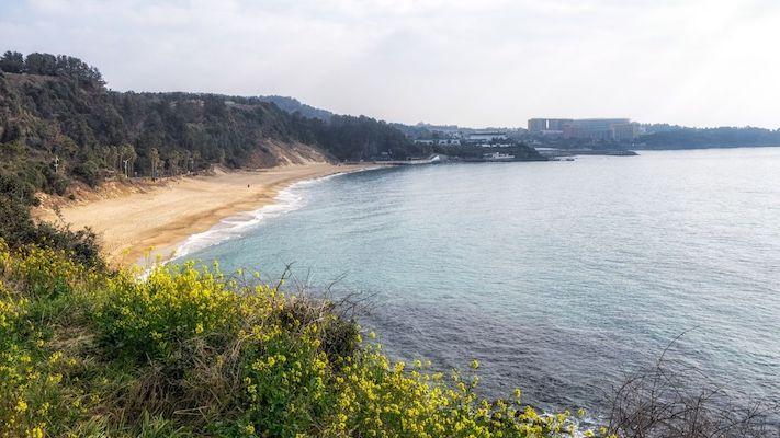 Jungmun Saekdal Beach