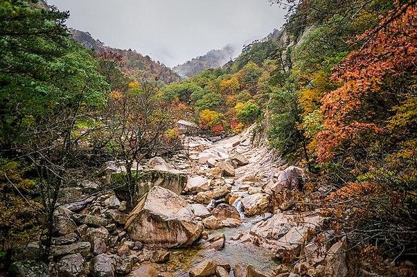 Korea Autumn Bucket List in park