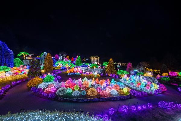 The Garden of Morning Calm Lighting Festival