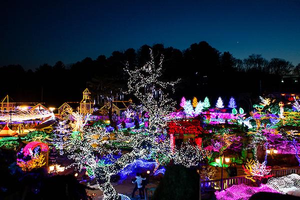 Pocheon Herb Village Light Festival