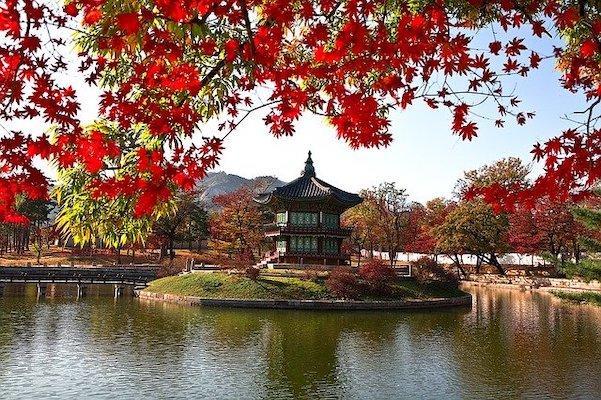 Fall Foliage at Gyeongbokung Palace in seoul