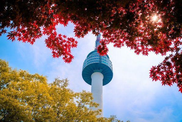 n seoul tower in fall