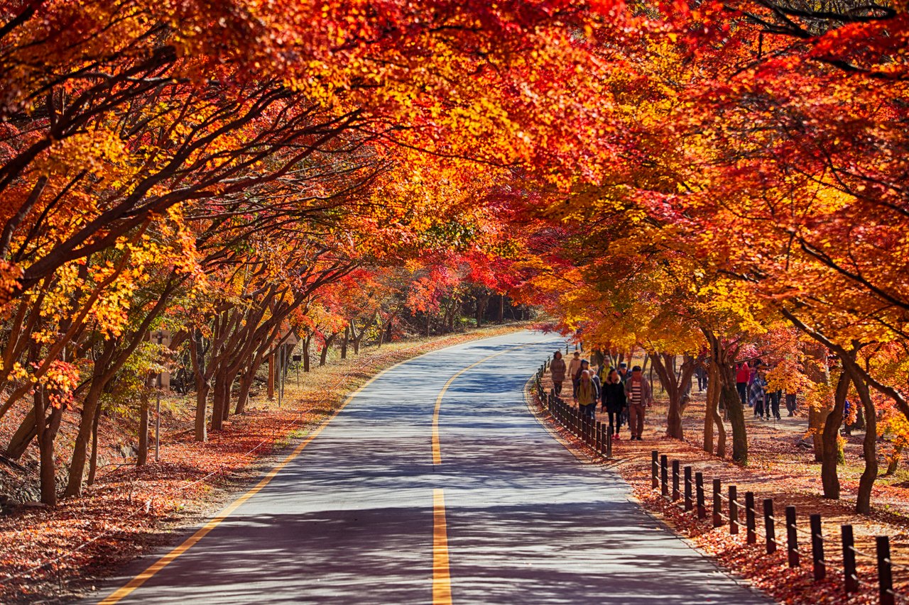 enjoy-naejangsan-national-park-in-autumn-koreatravelpost