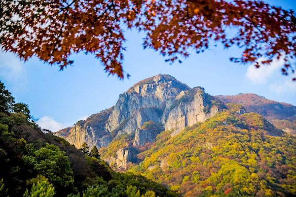 Naejangsan National Park autumn