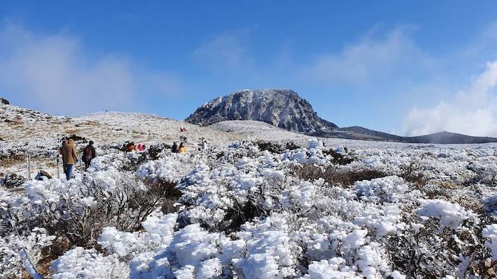 jeju island winter