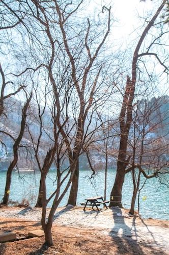 nami island in winters in south korea