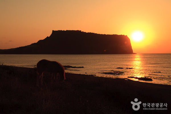 sunrise at Seongsan peak places in east jeju