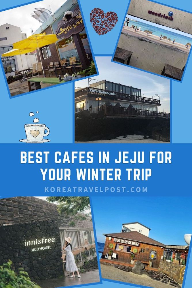 jeju must visit cafe