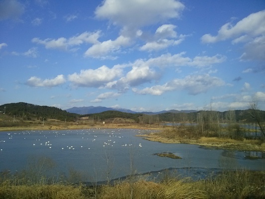 Changnyeong-Upo-Wetland things to do korea march