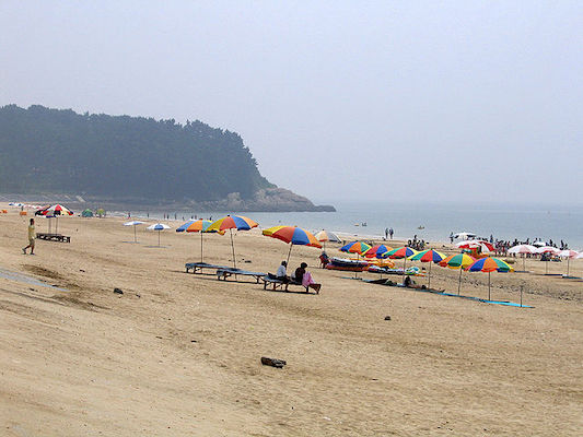 Daecheon Beach Chungcheong-do must-visit spots