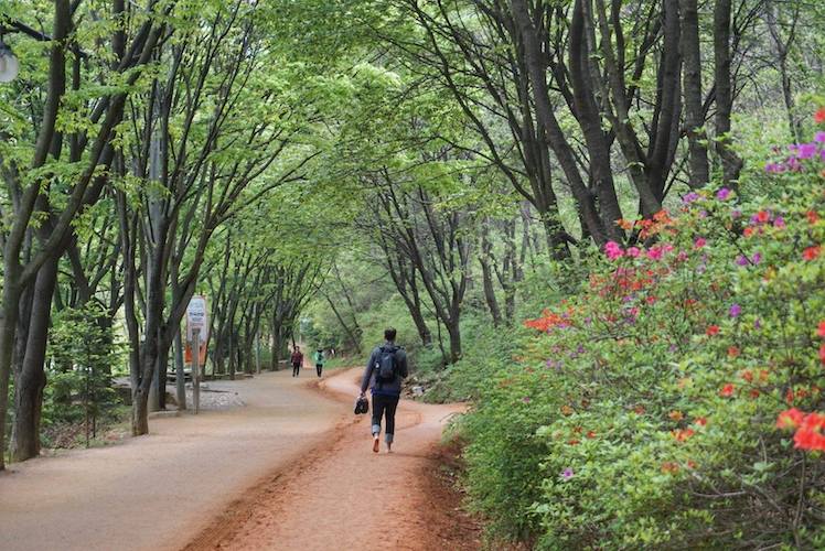 Gyejoksan Red Clay Trail Chungcheong-do must-visit spots