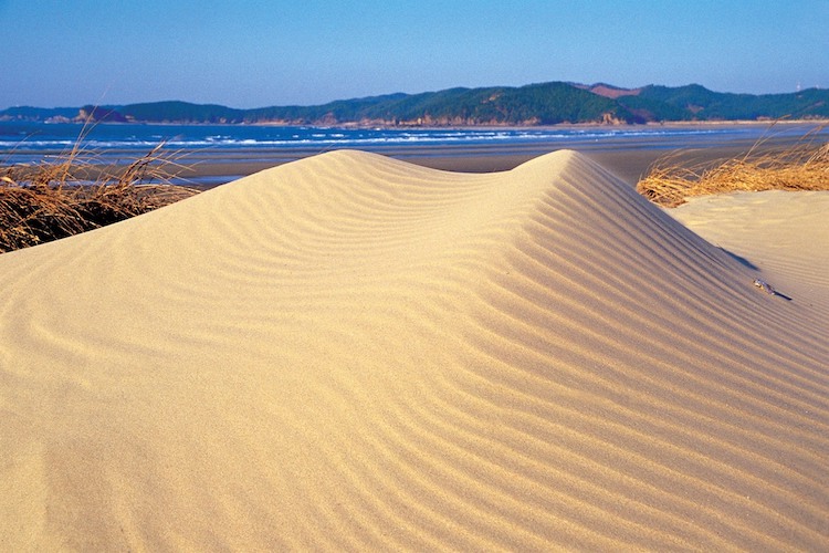 Sindu-ri Coastal Sand Dune Chungcheong-do must-visit spots