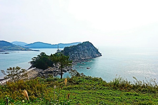 Ssukseom Island jeolla-do must-visit spots