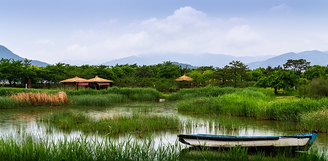 Suncheonman National Garden jeolla-do must-visit spots