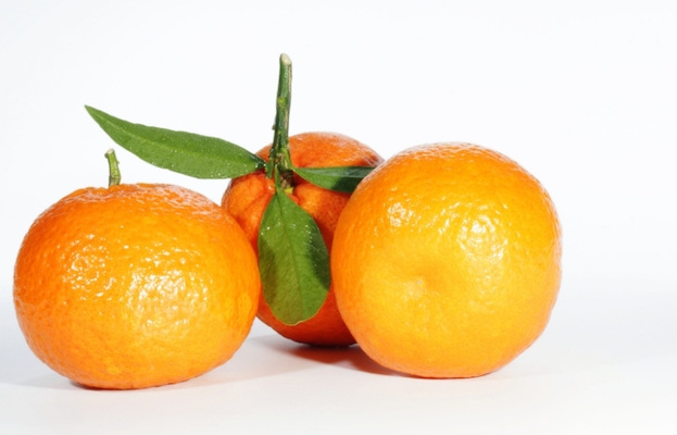 Mandarin Oranges (귤)