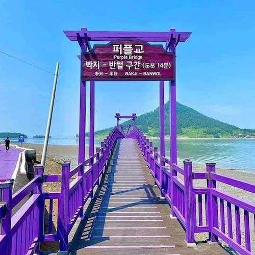 purple island Korea bridge