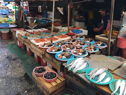 Jagalchi markets busan