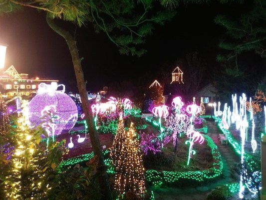 Light Show at Pocheon Herb Island things to do korea march