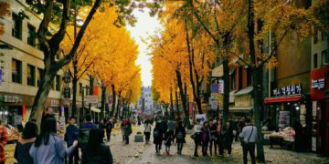 things to do insadong