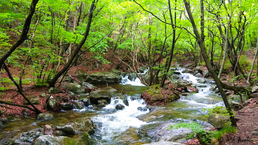 "File:Beauty of Sobaeksan.jpg" by Alif Arefur is licensed under CC BY-SA 3.0 