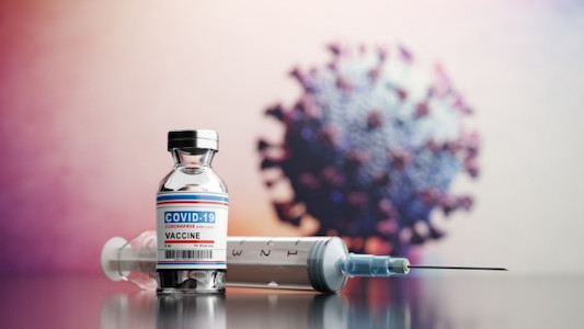 covid-19 vaccine tour from korea