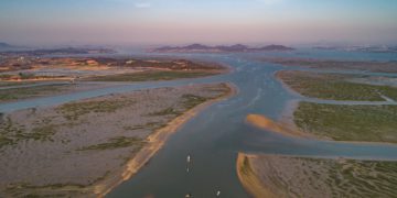 korean tidal flats