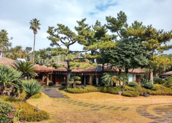 east coast jeju airbnb