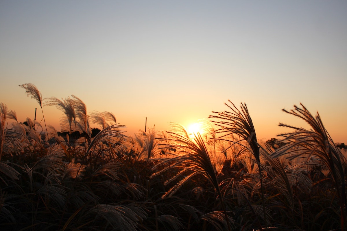 Beautiful Sunrise Spots in Seoul KoreaTravelPost