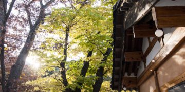 Fall Gyeongnam destinations