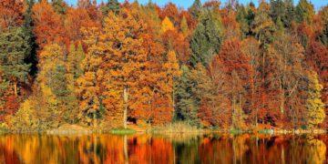 fall foliage south korea