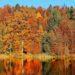 fall foliage south korea