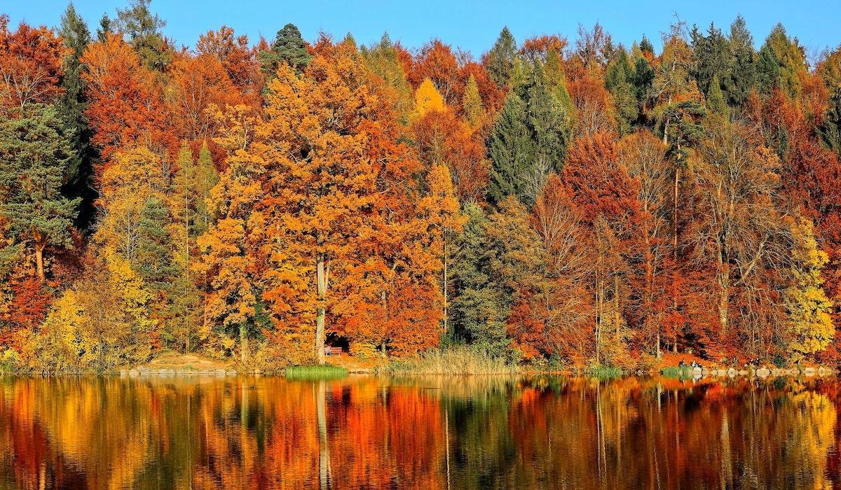A Complete Guide to Fall Foliage in South Korea KoreaTravelPost