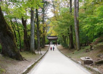 Daegu Unique Experiences