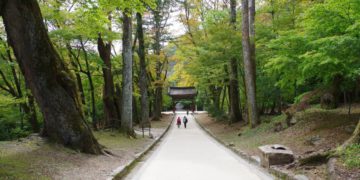 Daegu Unique Experiences