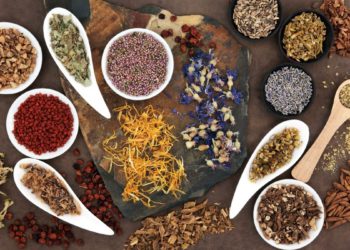 daegu herbal medicine market