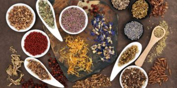 daegu herbal medicine market