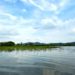 South Korea wetlands