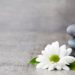 wellness travel south korea