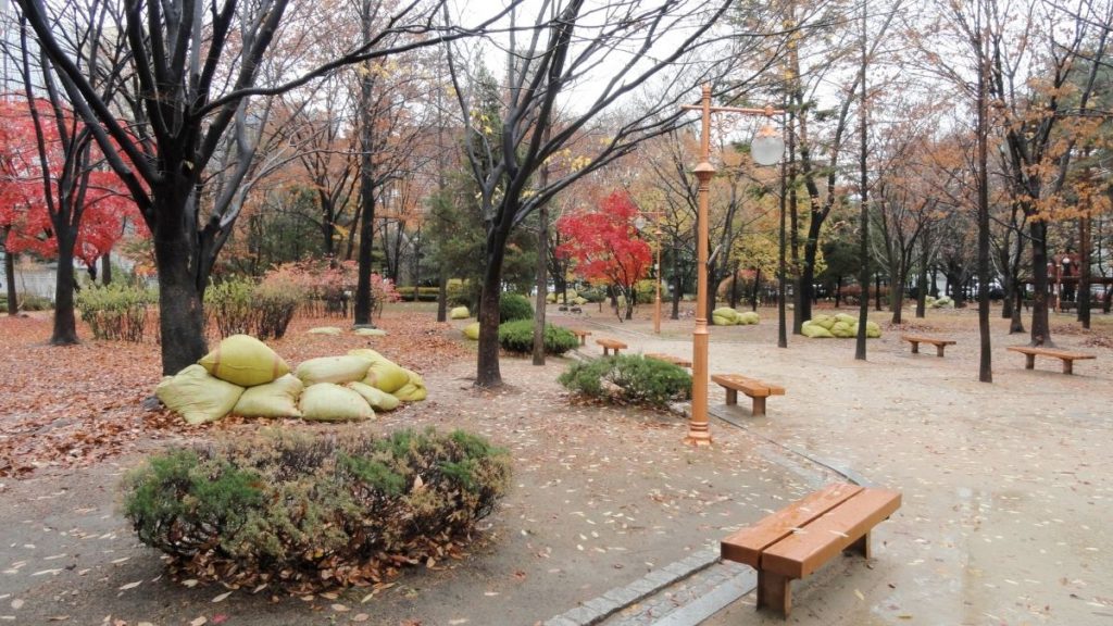 dosan park things to do