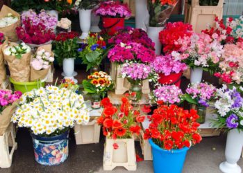 flower markets seoul