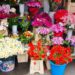 flower markets seoul