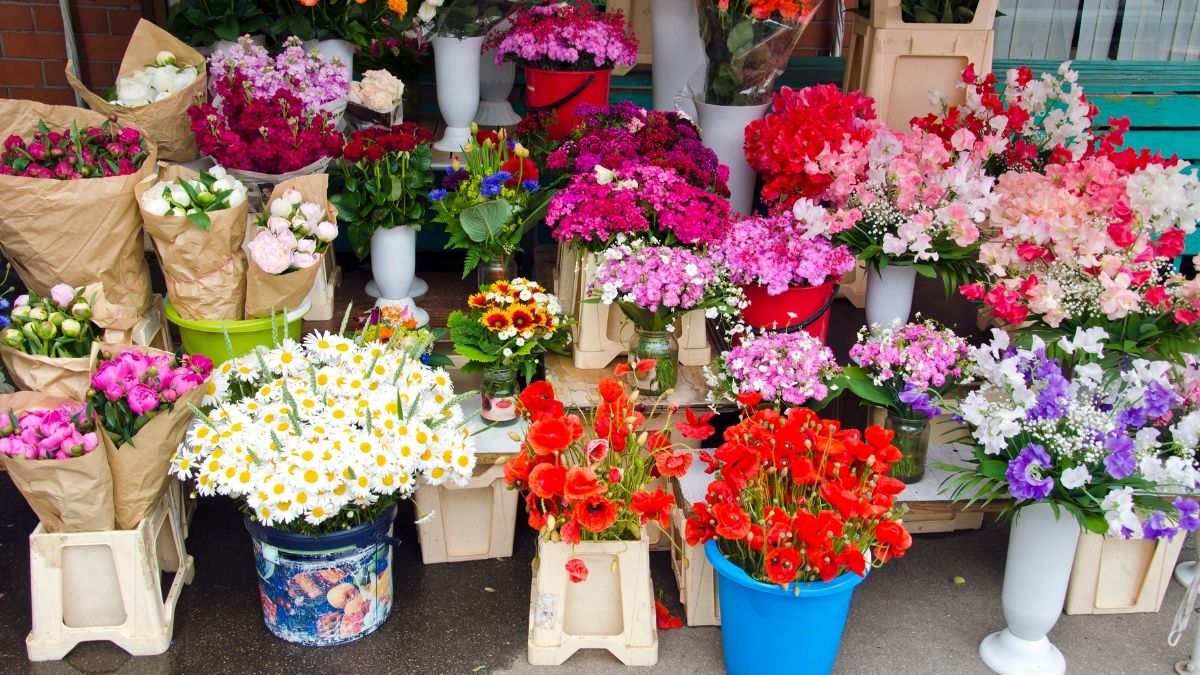 Visit the Best Flower Markets in Seoul KoreaTravelPost